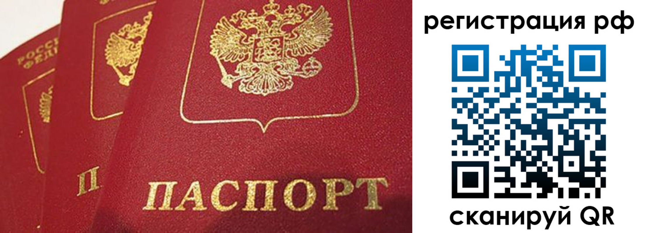 прописка в квартире в Нелидово